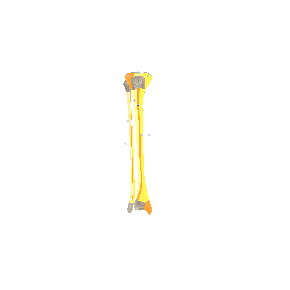 骨-右下肢-2-骨骼面